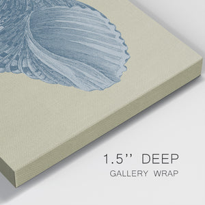Chambray Shells III-Premium Gallery Wrapped Canvas - Ready to Hang