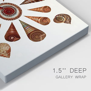 Spiral Shell Formation IV Premium Gallery Wrapped Canvas - Ready to Hang