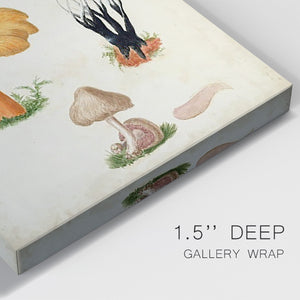 Mushroom Species VII Premium Gallery Wrapped Canvas - Ready to Hang