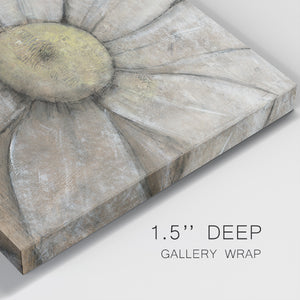 Close-Up Daisy II-Premium Gallery Wrapped Canvas - Ready to Hang