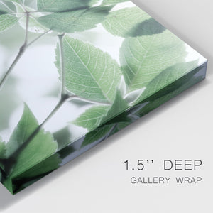 Fields of Green I - Canvas Art Print