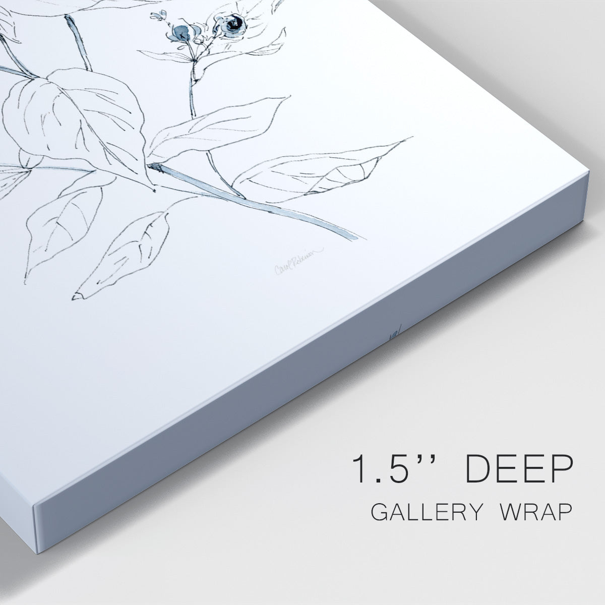 Indigo Sketch I Premium Gallery Wrapped Canvas - Ready to Hang