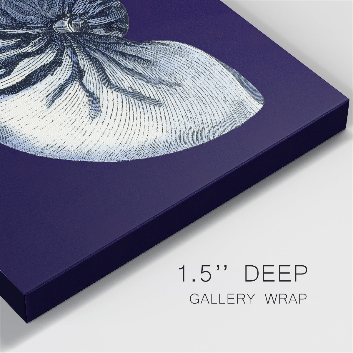 Indigo Shells VII-Premium Gallery Wrapped Canvas - Ready to Hang