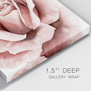 Pink Rose II-Premium Gallery Wrapped Canvas - Ready to Hang