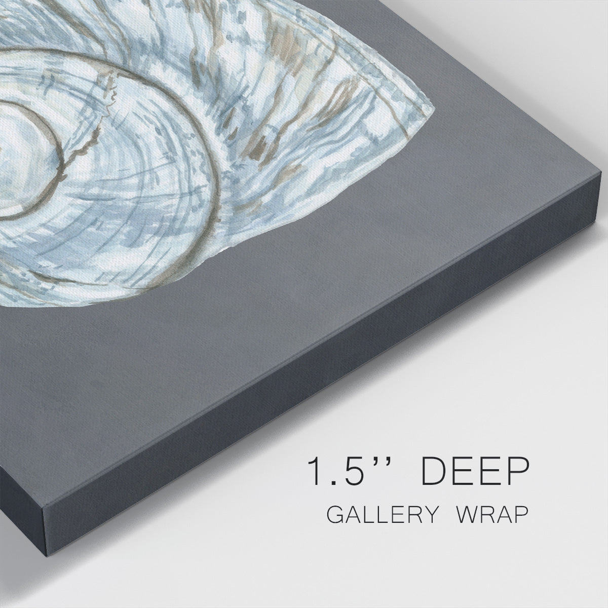 Shell on Slate VIII-Premium Gallery Wrapped Canvas - Ready to Hang