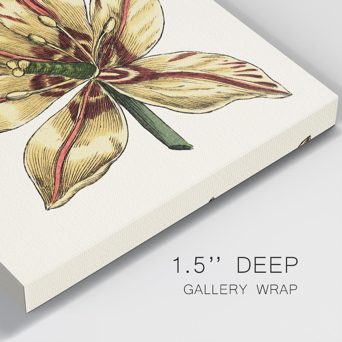 Tulip Garden V-Premium Gallery Wrapped Canvas - Ready to Hang