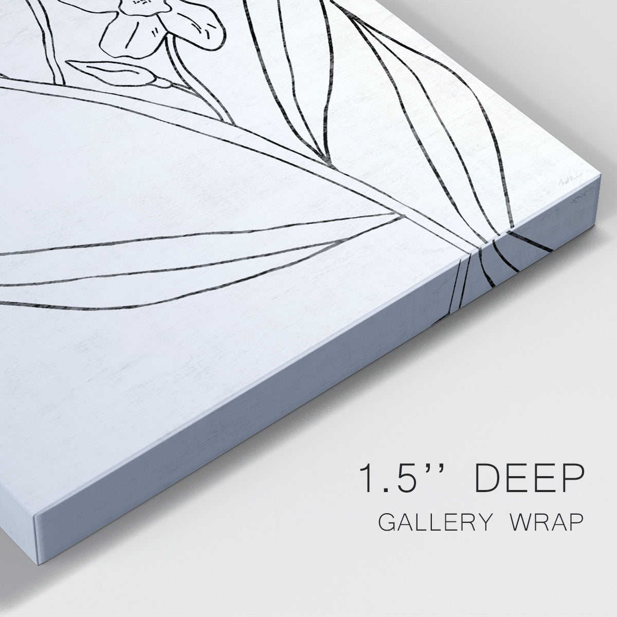 Botanical Sketch II Premium Gallery Wrapped Canvas - Ready to Hang