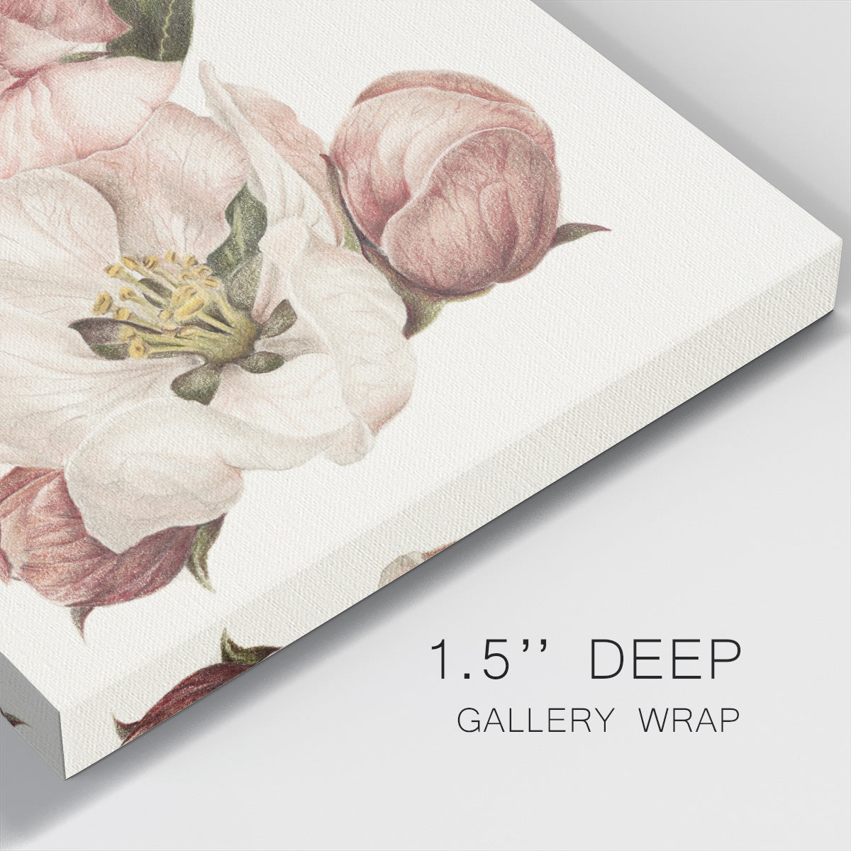 Enlightenment Blossom IV-Premium Gallery Wrapped Canvas - Ready to Hang