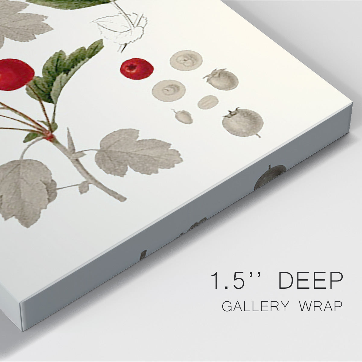 Leaves & Berries III Premium Gallery Wrapped Canvas - Ready to Hang
