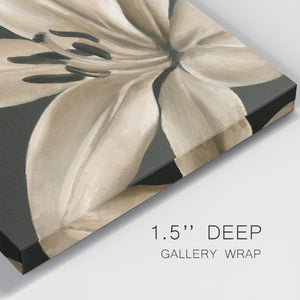 Classical Blooms III-Premium Gallery Wrapped Canvas - Ready to Hang