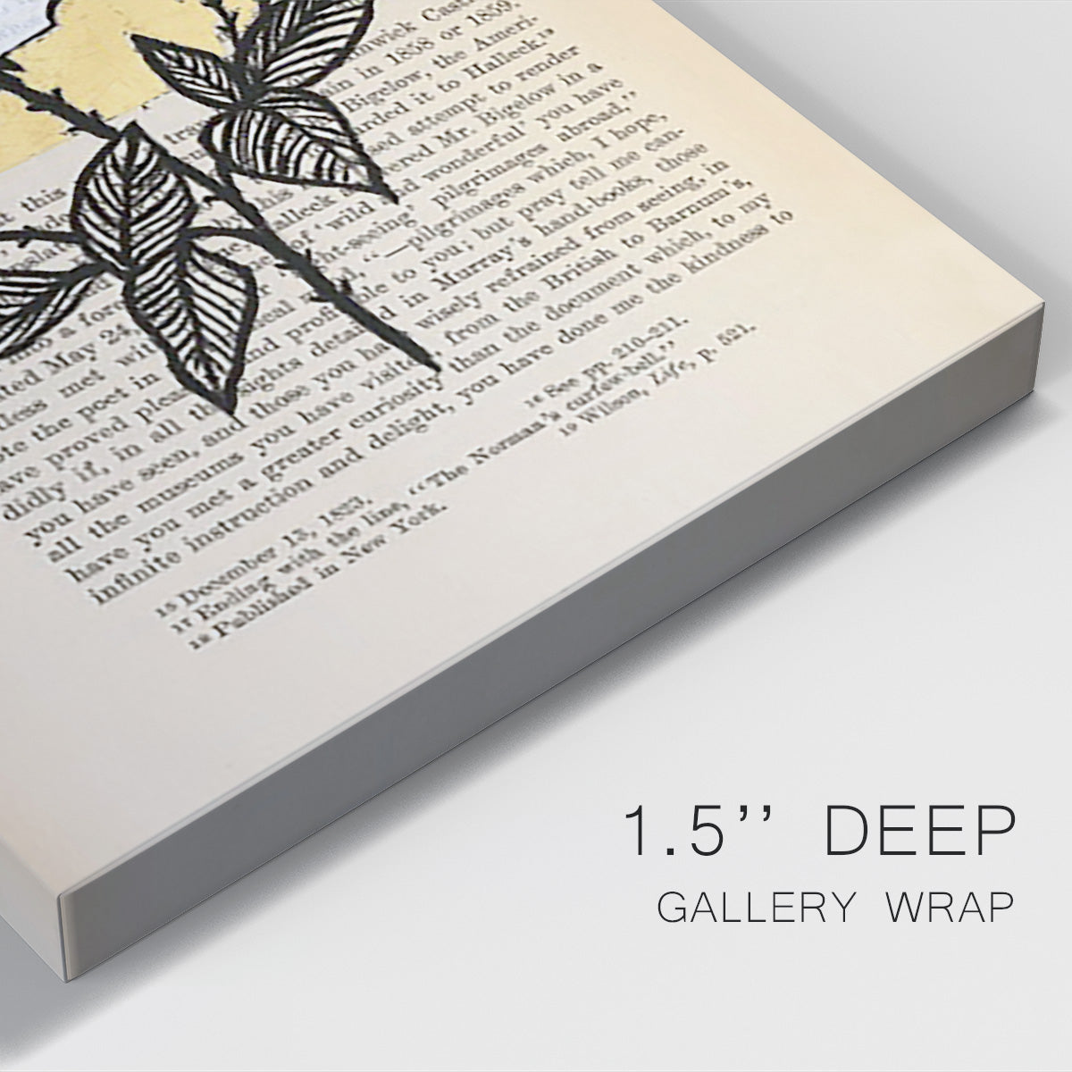 Floral Diary II Premium Gallery Wrapped Canvas - Ready to Hang
