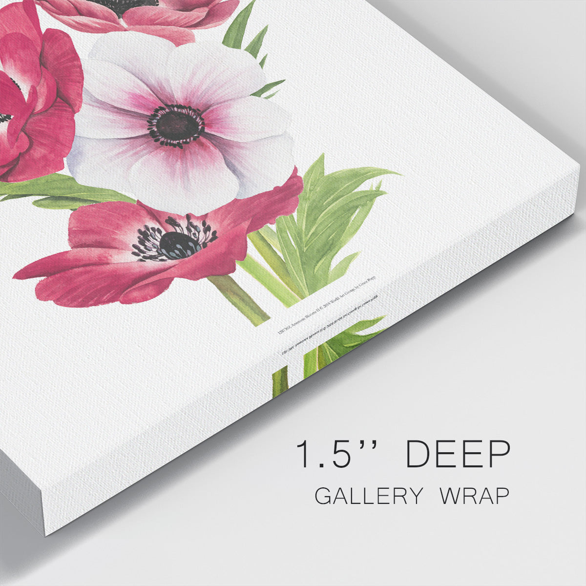 Anemone Blooms II-Premium Gallery Wrapped Canvas - Ready to Hang