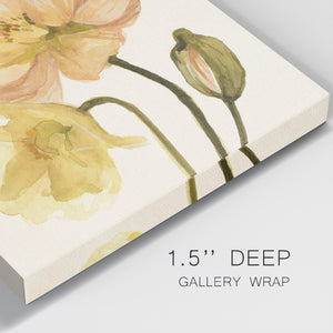 Highpoint Poppies II-Premium Gallery Wrapped Canvas - Ready to Hang