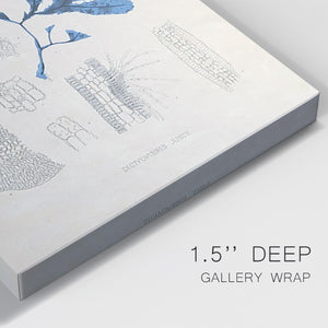 Blue Marine Algae VII Premium Gallery Wrapped Canvas - Ready to Hang