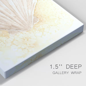 Salty Seashell II Premium Gallery Wrapped Canvas - Ready to Hang