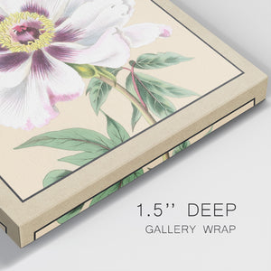 Peony Collection VI-Premium Gallery Wrapped Canvas - Ready to Hang