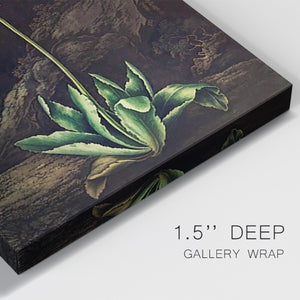 Temple of Flora II Premium Gallery Wrapped Canvas - Ready to Hang