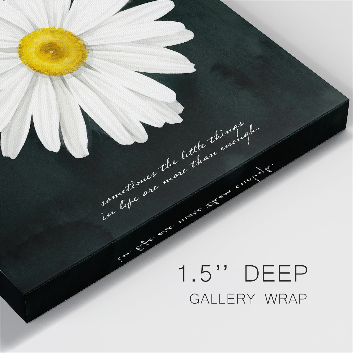 Delicate Daisy I-Premium Gallery Wrapped Canvas - Ready to Hang