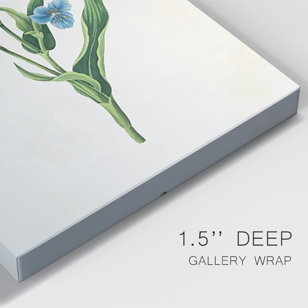 Flowers of the Seasons V Premium Gallery Wrapped Canvas - Ready to Hang
