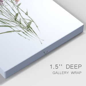 Dainty Botanical II Premium Gallery Wrapped Canvas - Ready to Hang