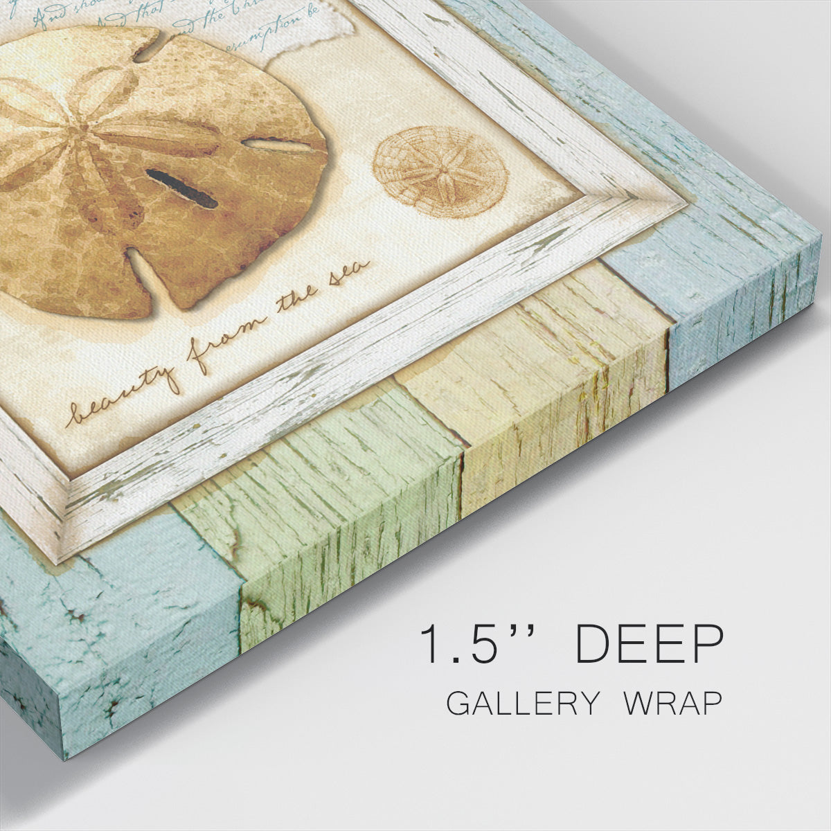 Sea Treasures XI-Premium Gallery Wrapped Canvas - Ready to Hang