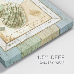 Sea Treasures VI-Premium Gallery Wrapped Canvas - Ready to Hang