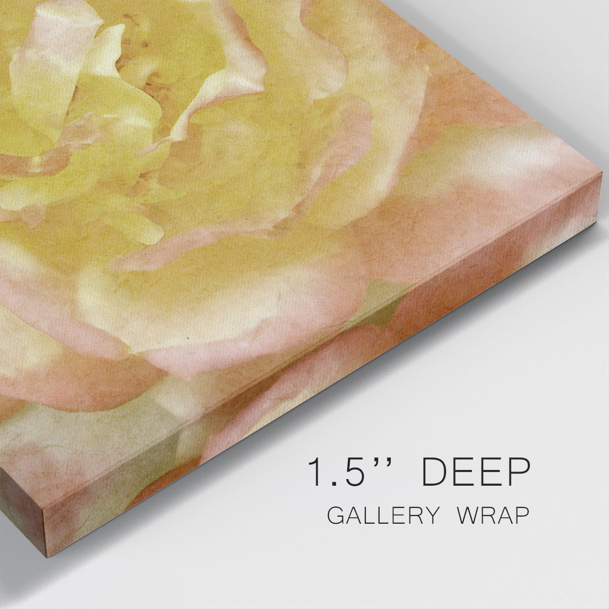 Wall Flower I-Premium Gallery Wrapped Canvas - Ready to Hang