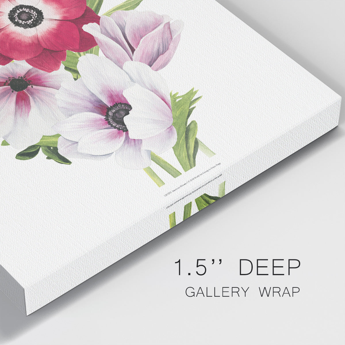 Anemone Blooms I-Premium Gallery Wrapped Canvas - Ready to Hang