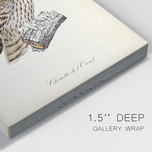 French Owls V Premium Gallery Wrapped Canvas - Ready to Hang