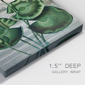 Temple of Flora IX Premium Gallery Wrapped Canvas - Ready to Hang