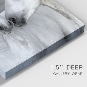 Affection I Premium Gallery Wrapped Canvas - Ready to Hang