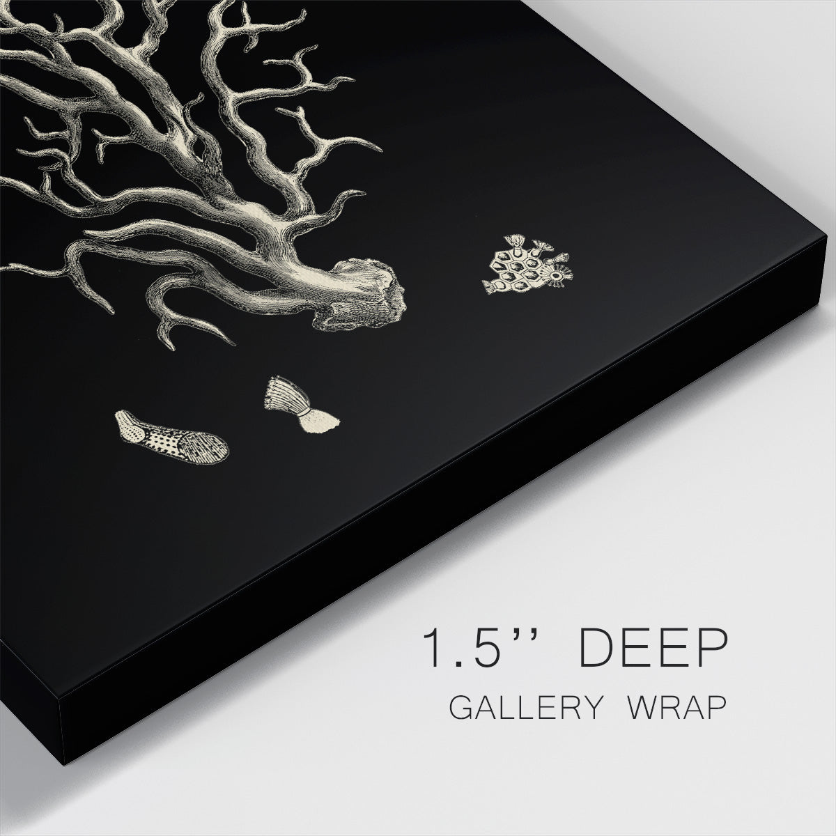 Black and Tan Coral I-Premium Gallery Wrapped Canvas - Ready to Hang