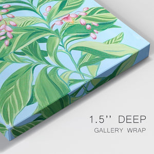 Tropical Shell Ginger II Premium Gallery Wrapped Canvas - Ready to Hang