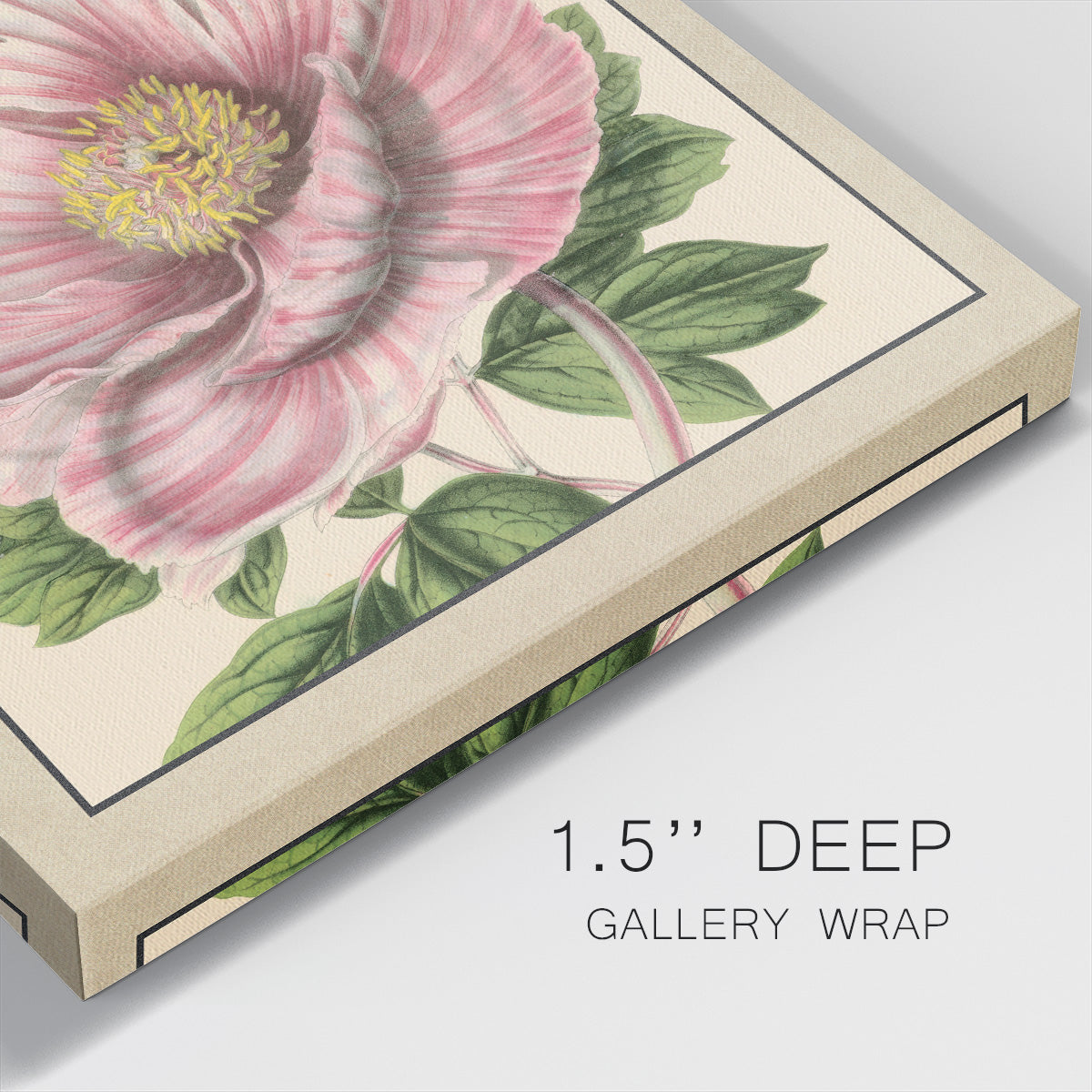 Peony Collection II-Premium Gallery Wrapped Canvas - Ready to Hang
