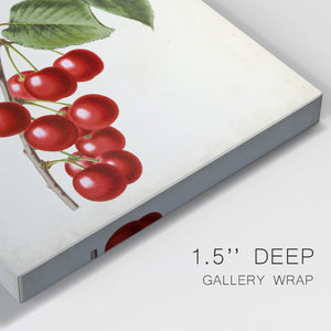 Antique Fruit II Premium Gallery Wrapped Canvas - Ready to Hang