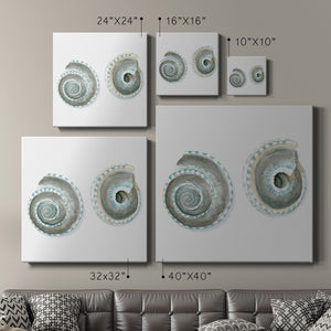 Watercolor Shells IV-Premium Gallery Wrapped Canvas - Ready to Hang