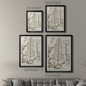 Sepia Botanical Journal V Premium Framed Print - Ready to Hang