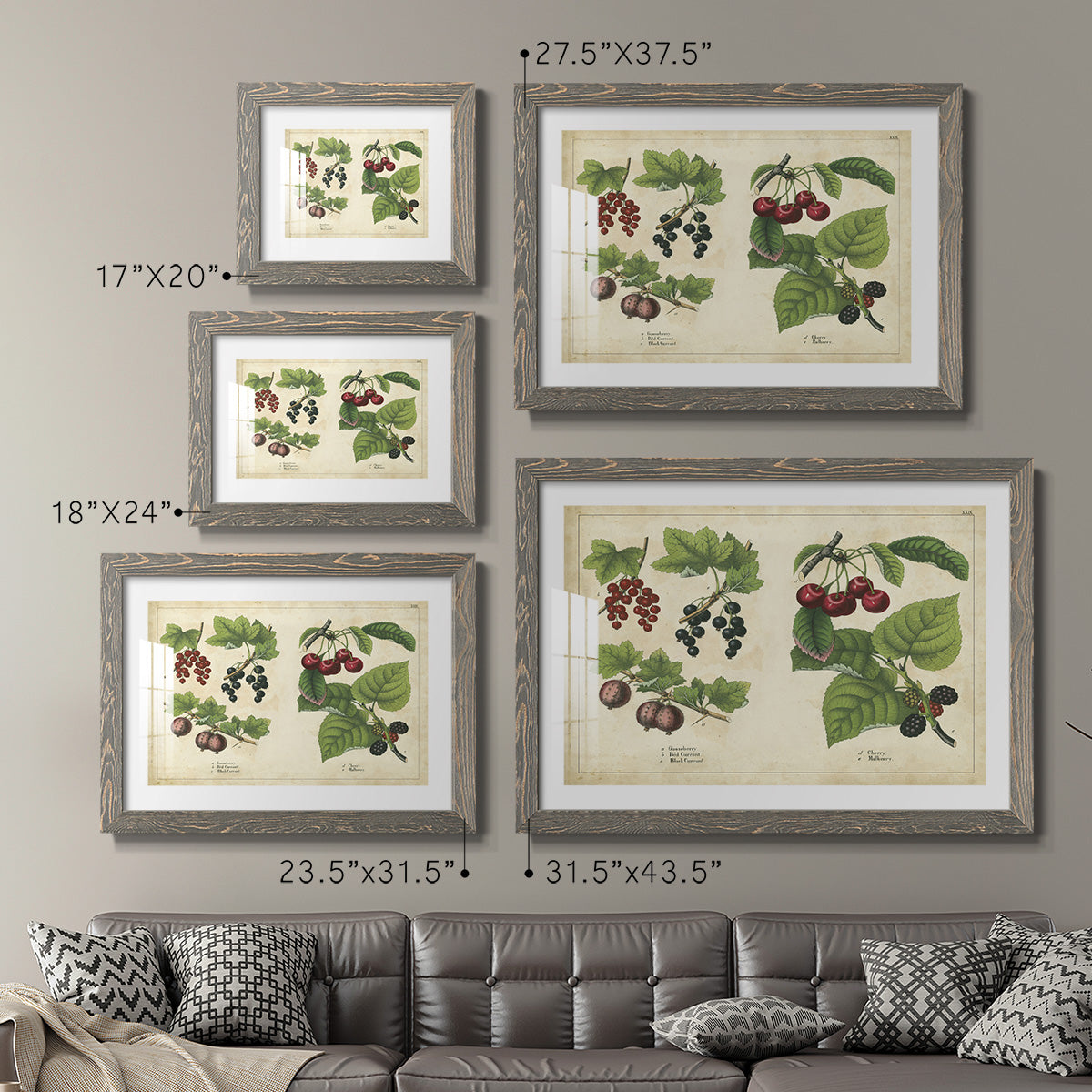 Kitchen Fruits III-Premium Framed Print - Ready to Hang