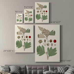 Leaves & Berries IV Premium Gallery Wrapped Canvas - Ready to Hang