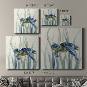 Turtle in Seagrass II - Canvas Art Print