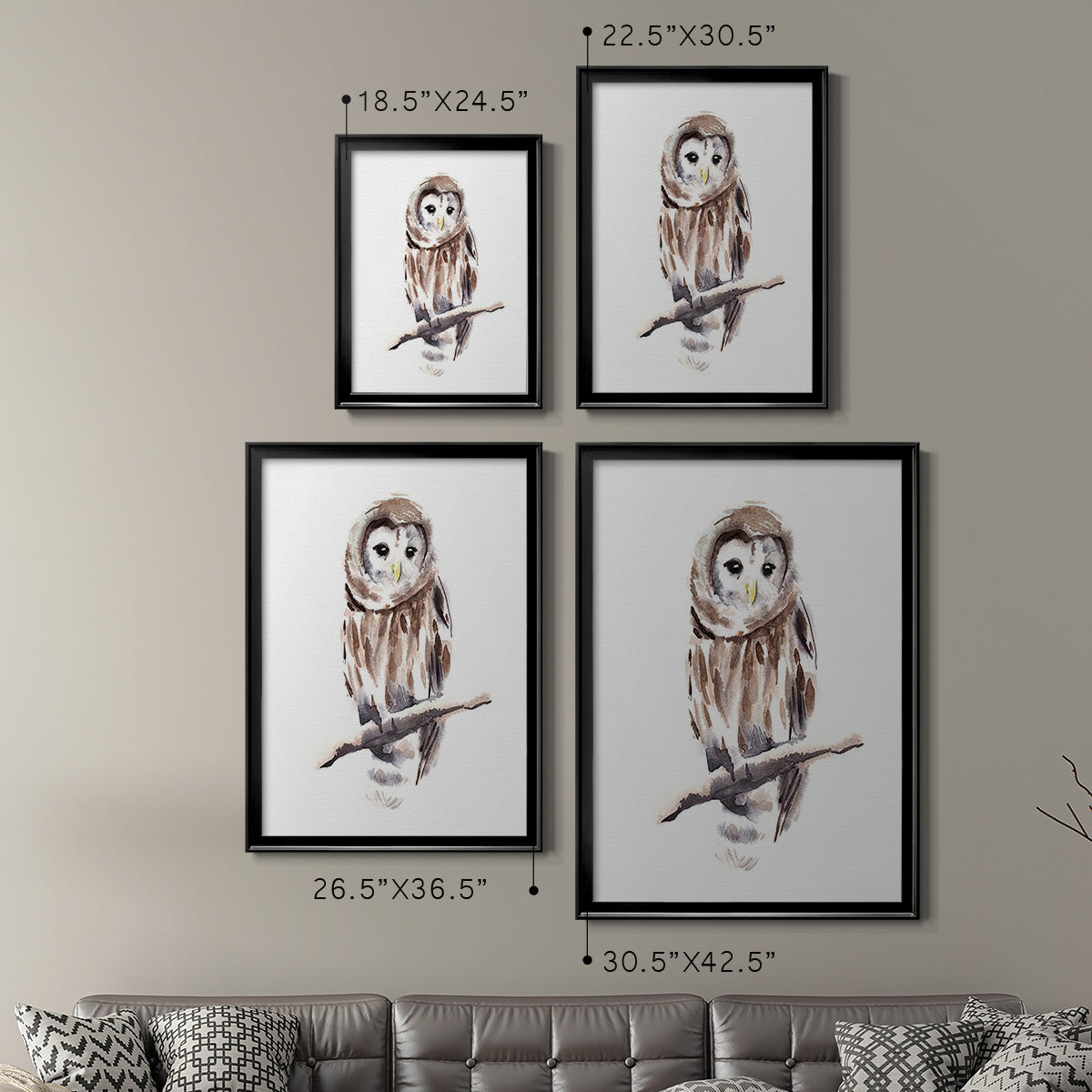 Barred Owl Impressions I Premium Framed Print - Ready to Hang