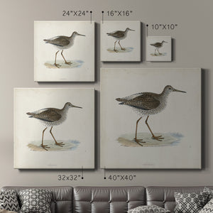 Morris Sandpipers V-Premium Gallery Wrapped Canvas - Ready to Hang