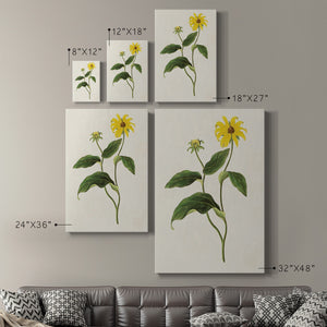 Flowers of the Seasons X Premium Gallery Wrapped Canvas - Ready to Hang