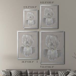 White Iris I Premium Framed Print - Ready to Hang