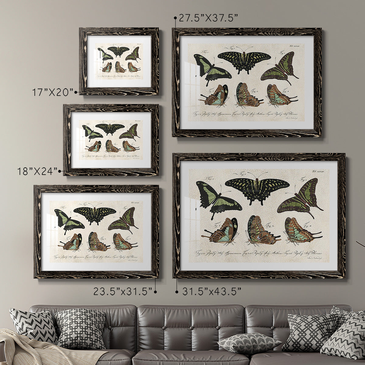 Crackled Butterflies II-Premium Framed Print - Ready to Hang