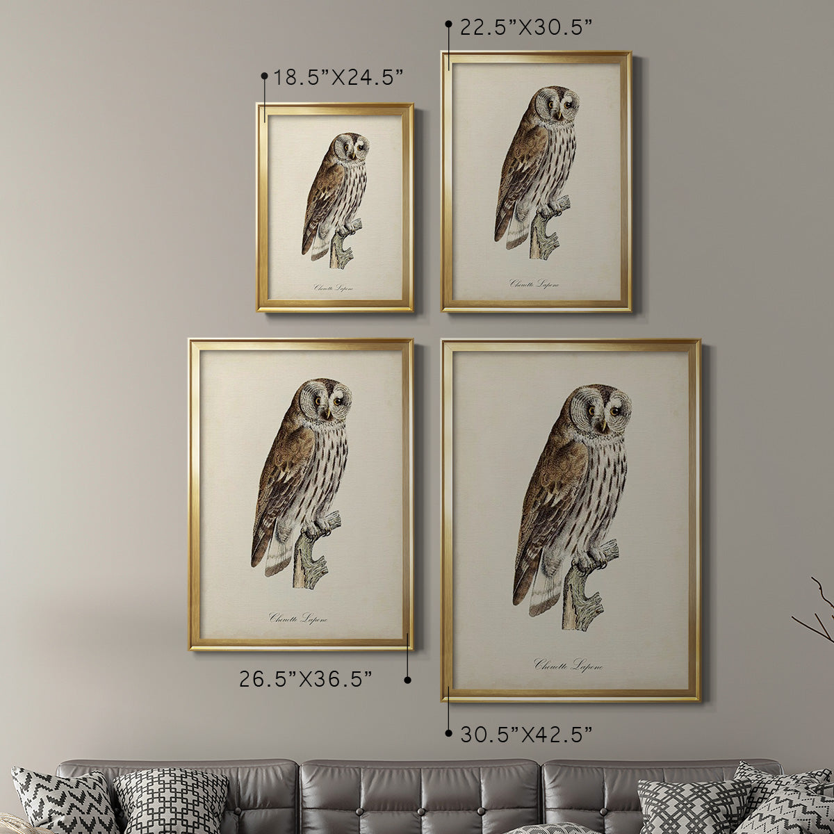 French Owls III Premium Framed Print - Ready to Hang