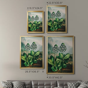 Temple of Flora XI Premium Framed Print - Ready to Hang
