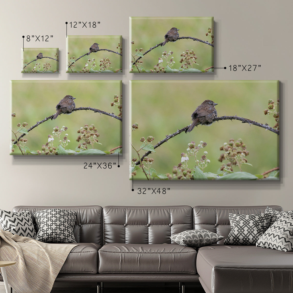 Resting Sparrow Premium Gallery Wrapped Canvas - Ready to Hang