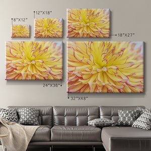 Blooms III Premium Gallery Wrapped Canvas - Ready to Hang