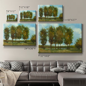 Tall Trees Premium Gallery Wrapped Canvas - Ready to Hang